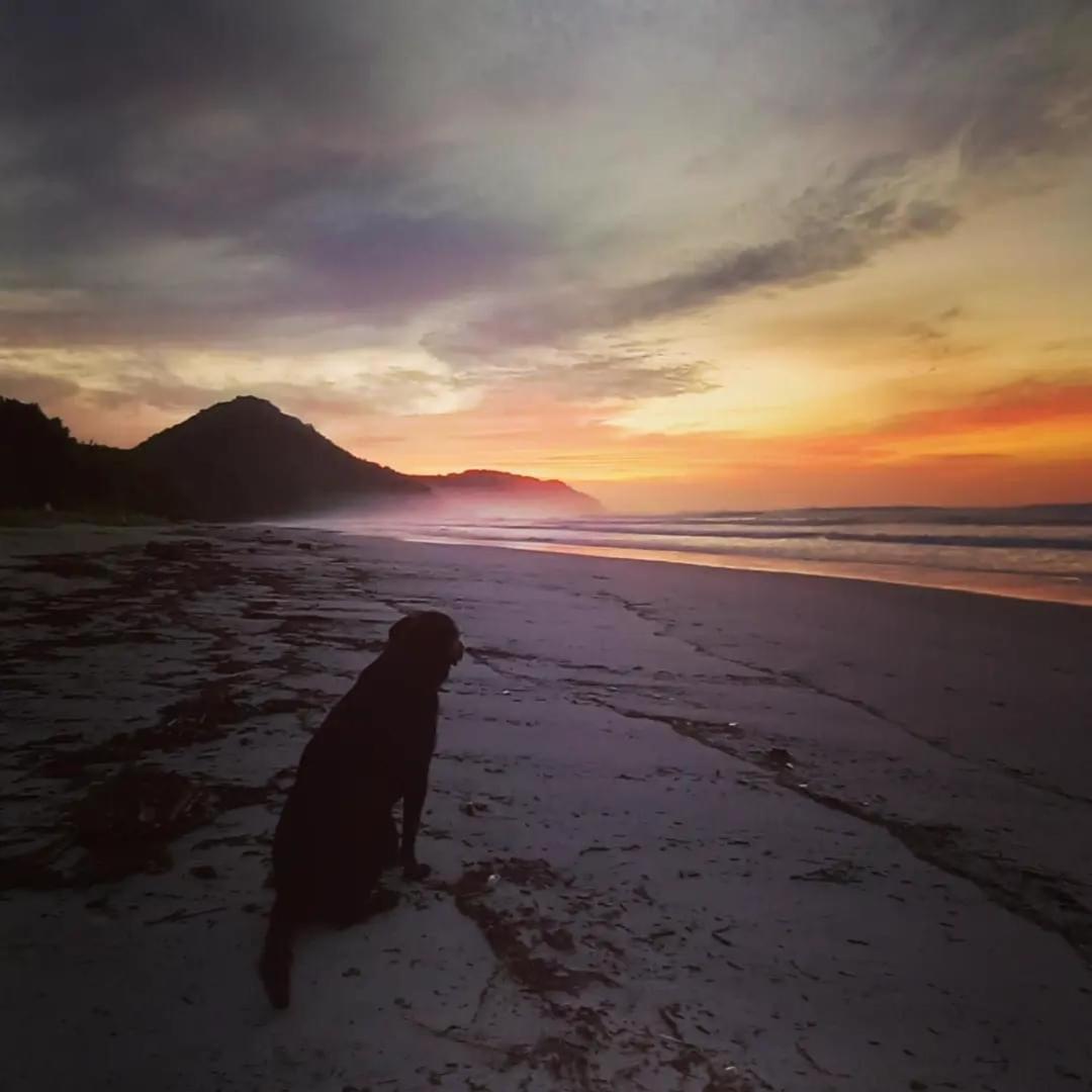 Praia De Itamambuca- Casa Charmosa E Iluminada Ubatuba Dış mekan fotoğraf
